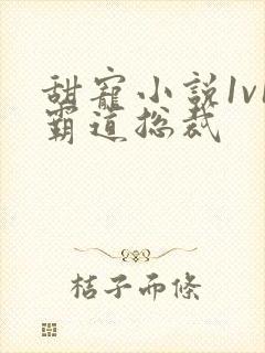 甜宠小说1v1霸道总裁