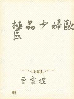 极品少妇欧美一区