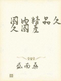 国内精品久久久久国产