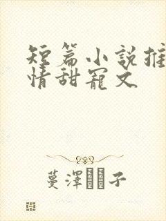 短篇小说推荐言情甜宠文