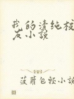 我的清纯校花女友小说