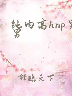 纯肉高hnp男男