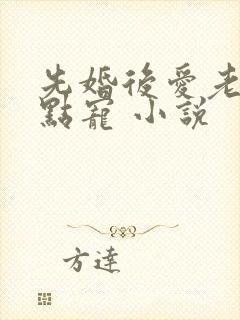 先婚后爱老公轻点宠 小说