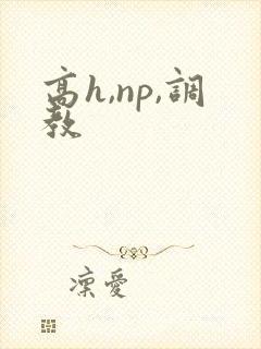 高h,np,调教