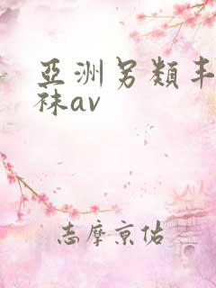 亚洲另类丰满丝袜av