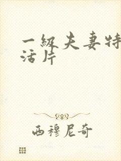 一级夫妻特黄生活片