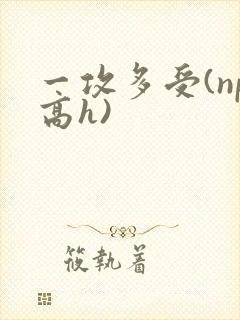 一攻多受(np高h)