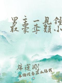 男主一见钟情强取豪夺类小说