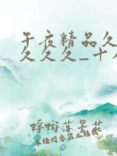 午夜精品久久久久久久_十八岁高清全