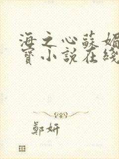 海之心苏媚赵大宝小说在线阅读