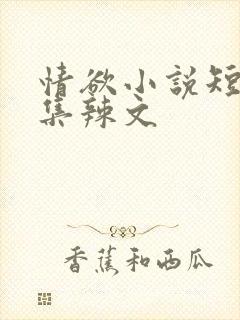 情欲小说短篇合集辣文