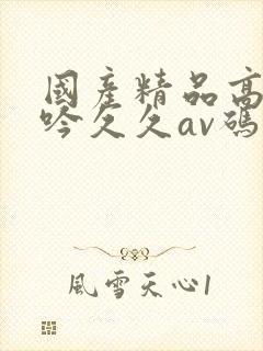 国产精品高潮呻吟久久av码