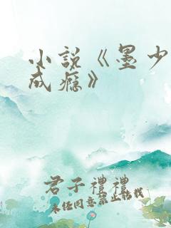 小说《墨少宠妻成瘾》