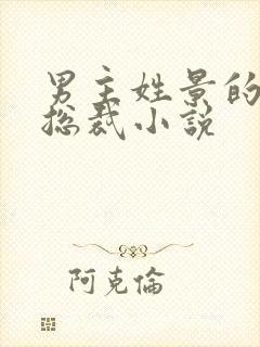 男主姓景的霸道总裁小说