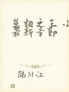 万相之王 小说最新章节