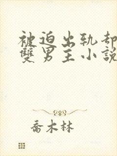 被迫出轨却上瘾双男主小说