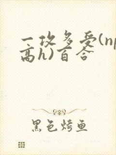 一攻多受(np高h)百合