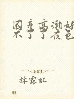 国产高潮好爽受不了了夜色