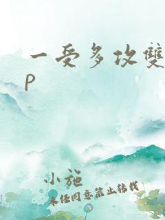 一受多攻双性np