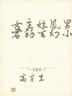 女主姓凤男主姓君的玄幻小说