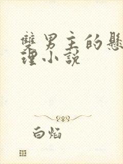 双男主的悬疑推理小说