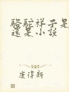 骆驼祥子是散文还是小说