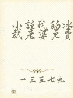 小说我的冰山总裁老婆免费看