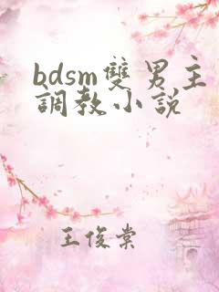 bdsm双男主调教小说