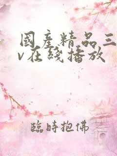 国产精品三级av在线播放