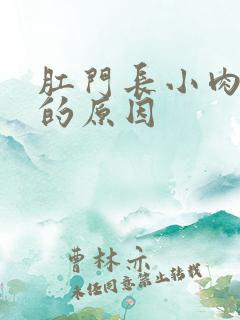 肛门长小肉疙瘩的原因