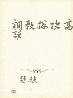 调教总攻高h小说