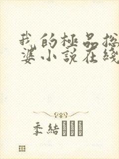 我的极品总裁老婆小说在线阅读