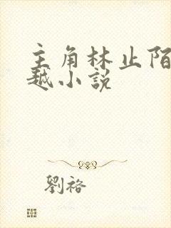 主角林止陌的穿越小说