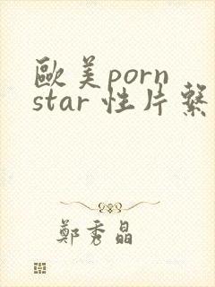 欧美porn star 性片系列