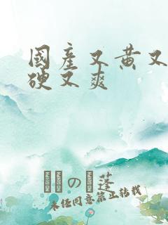 国产又黄又粗又硬又爽