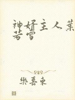 神婿主人叶凡唐若雪