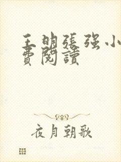 王明张强小说免费阅读