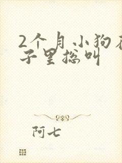 2个月小狗在笼子里总叫