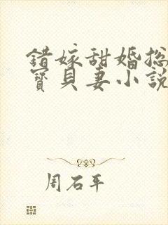 错嫁甜婚总裁的宝贝妻小说完整版