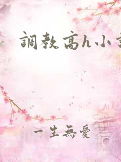 调教高h小说文