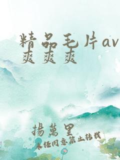 精品毛片av爽爽爽爽