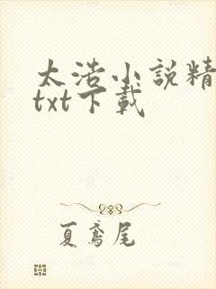 太浩小说精校版txt下载