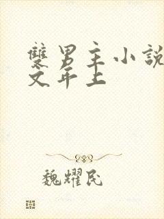 双男主小说父子文年上