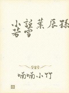 小说叶辰孙怡夏若雪