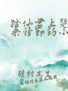 踏仙君上楚妃骑乘情节的小说