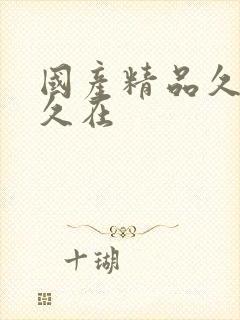 国产精品久久久久在