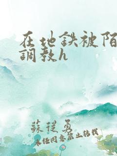 在地铁被陌生人调教h