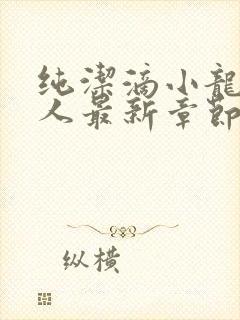 纯洁滴小龙捞尸人最新章节更新