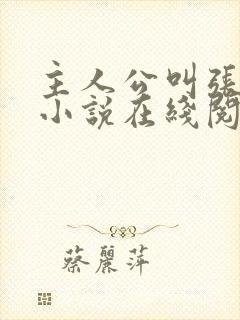 主人公叫张晨的小说在线阅读