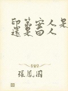 印第安人是黑人还是白人